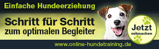 online hundeschule *
