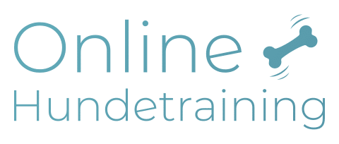 Online Hundetraining Blog